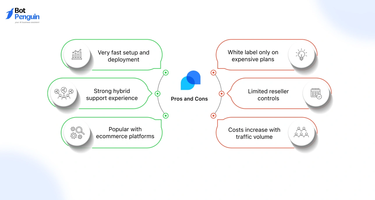 Pros and Cons of Tidio