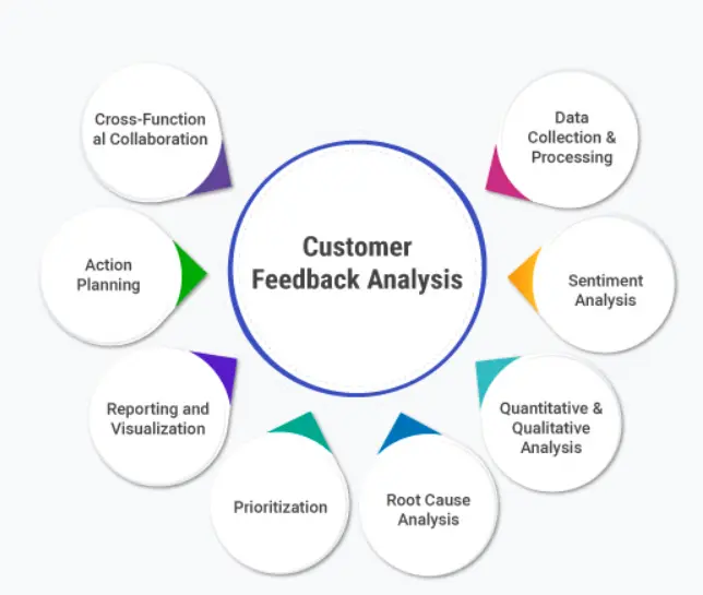 Leveraging Customer Feedback and Analytics