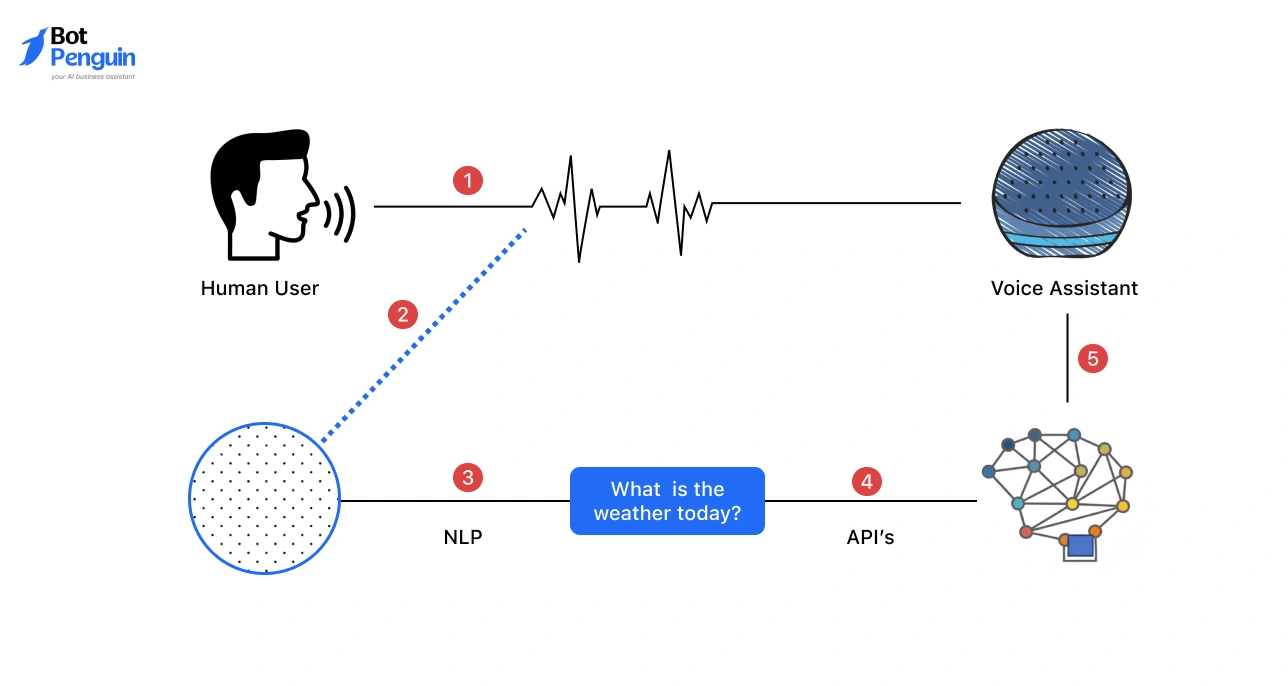 What Voice Assistants Actually Do Today