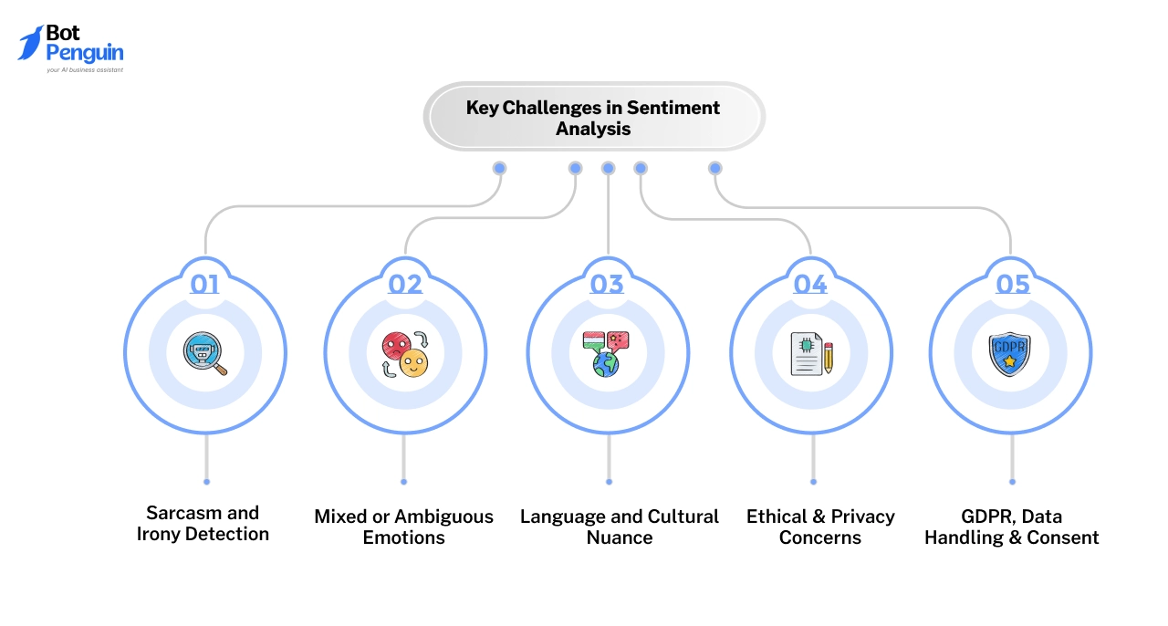 Key Challenges in Sentiment Analysis