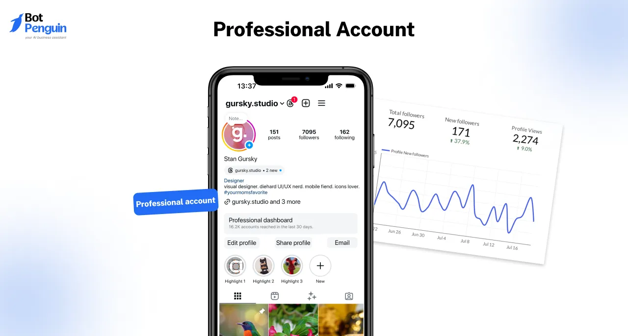 What It Means to Remove Professional Account on Instagram