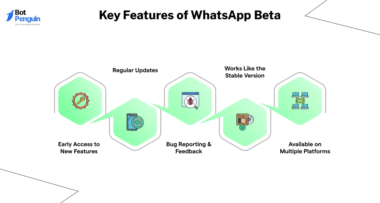 Key Features of WhatsApp Beta