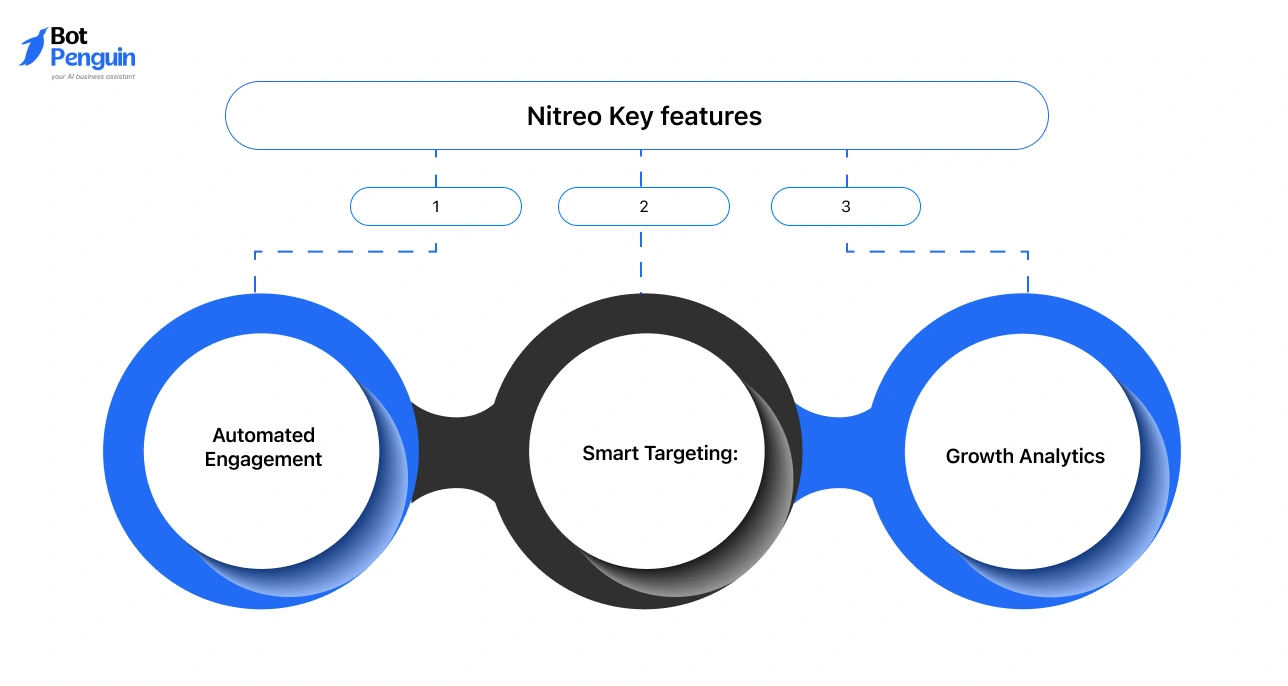 Nitreo Instagram growth platform features including automated engagement, smart targeting, and analytics to track follower growth and performance.