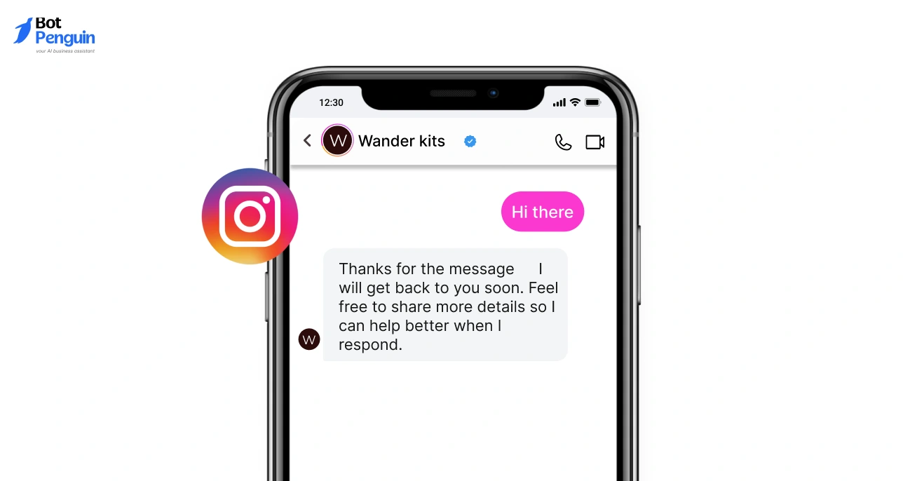 Instagram auto reply message example for customer inquiries