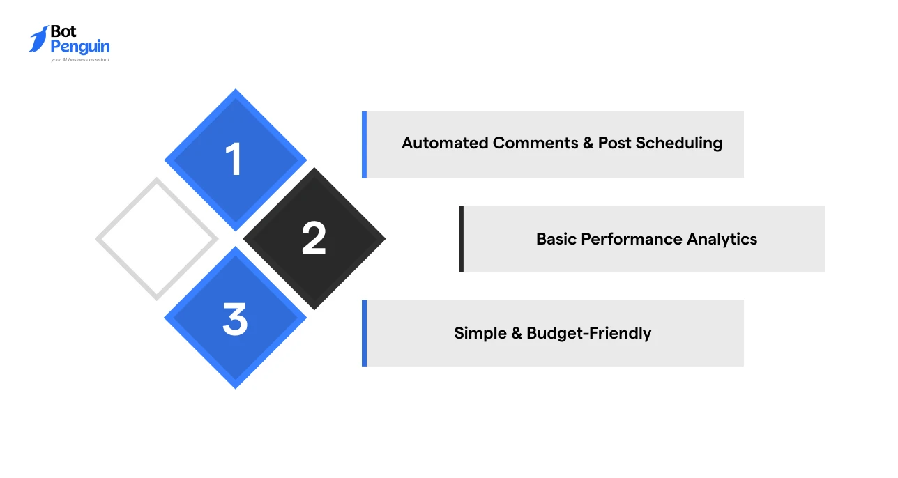 Buffer Instagram automation features including automated comments, post scheduling, performance analytics, and budget-friendly social media management.