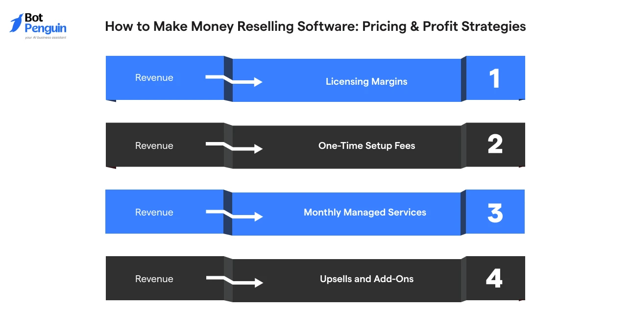 How to Make Money Reselling Software_ Pricing & Profit Strategies