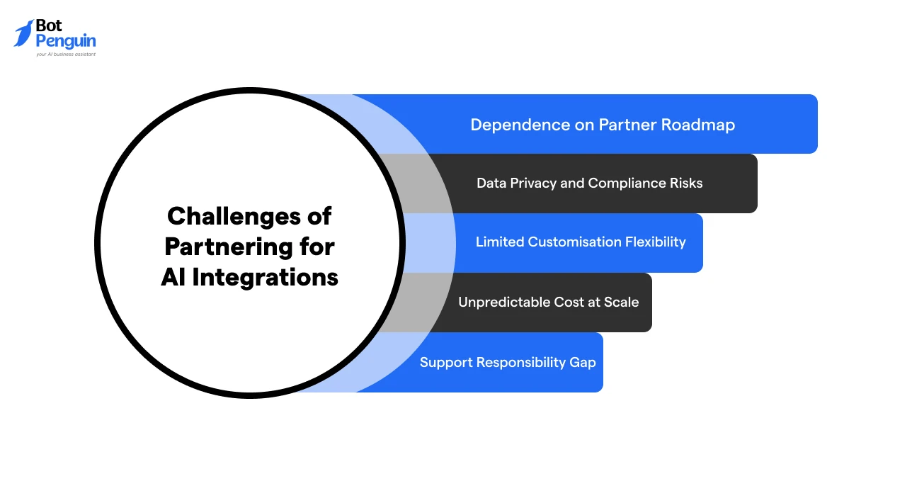Challenges of Partnering for AI Integrations