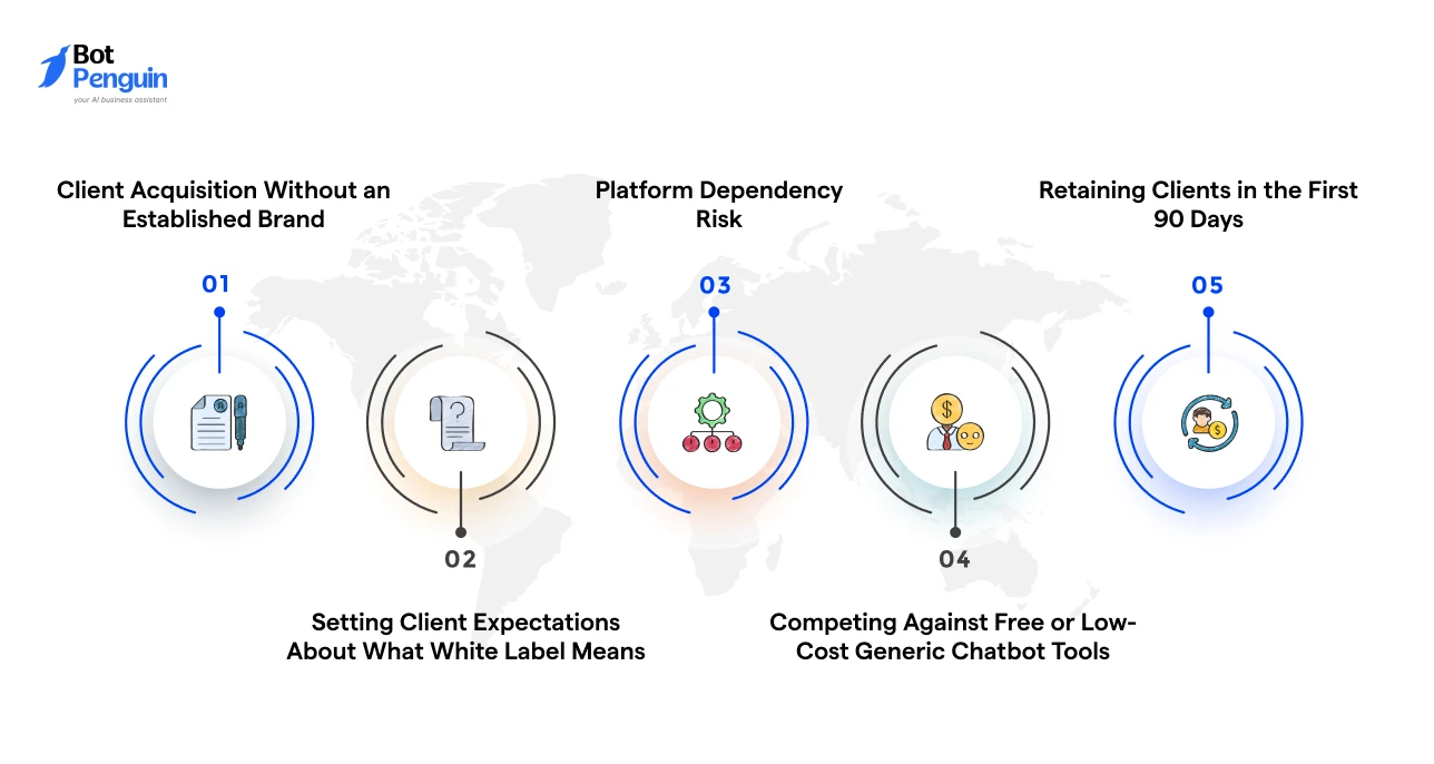 Challenges and Limitations of Running a White Label Chatbot Business