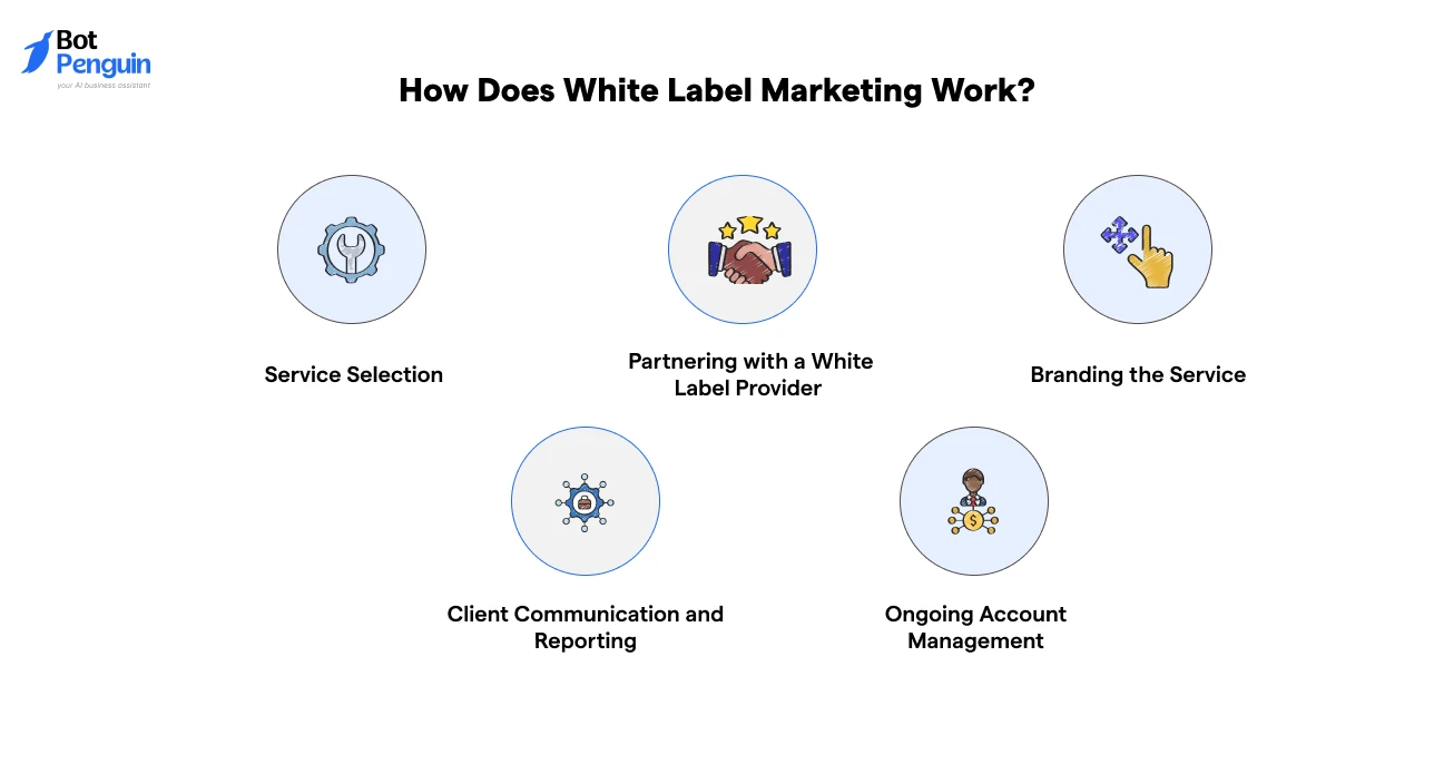 How white label marketing works from service selection to branding and client management