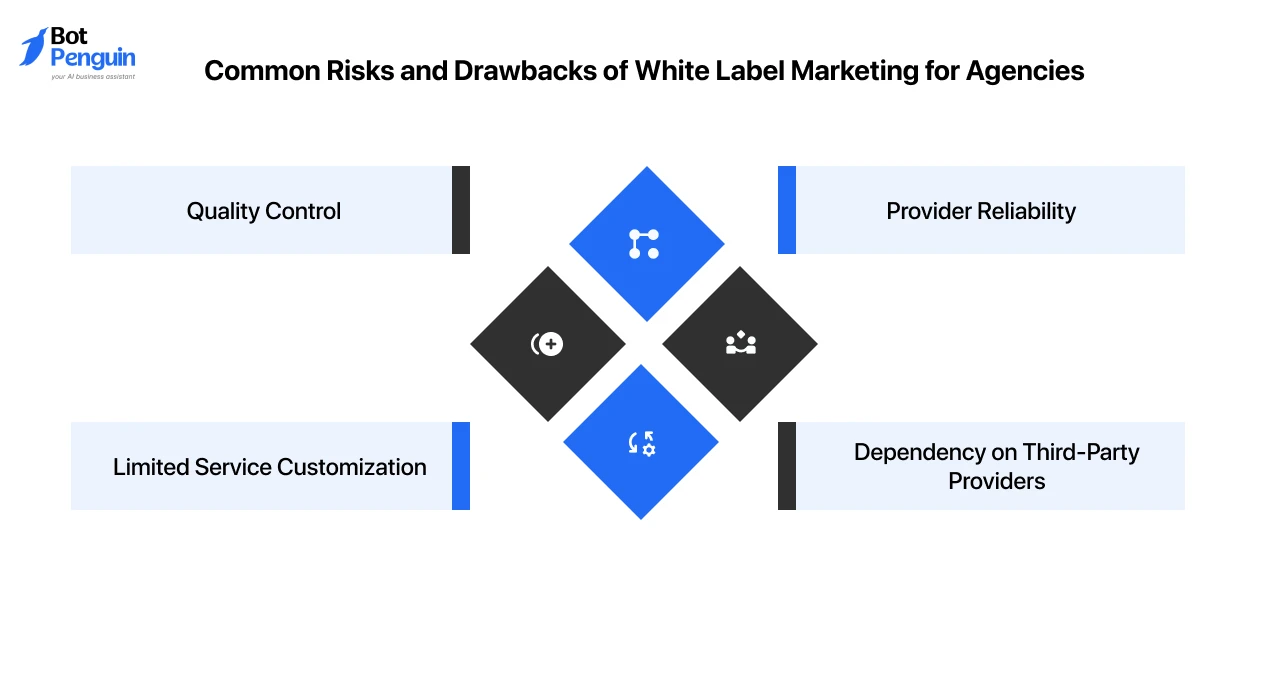 Common risks and challenges of white label marketing including provider dependency and quality control