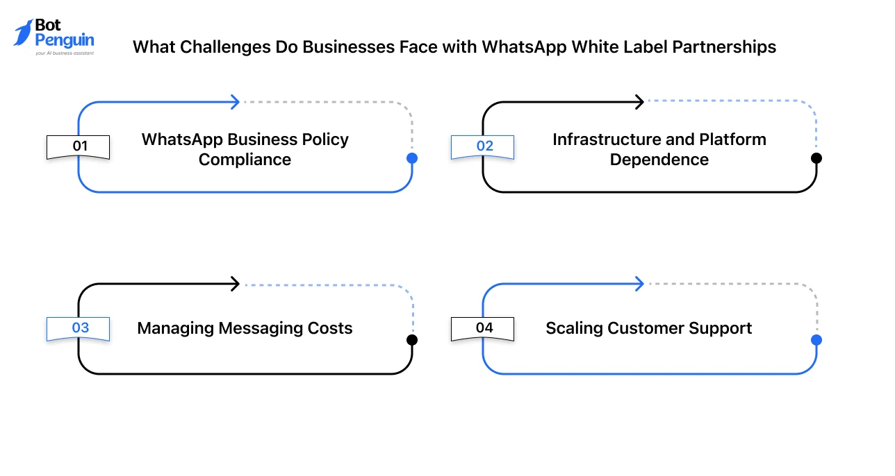 Overview of WhatsApp white label partnership challenges, including policy compliance, platform dependence, messaging costs, and customer support scalability.